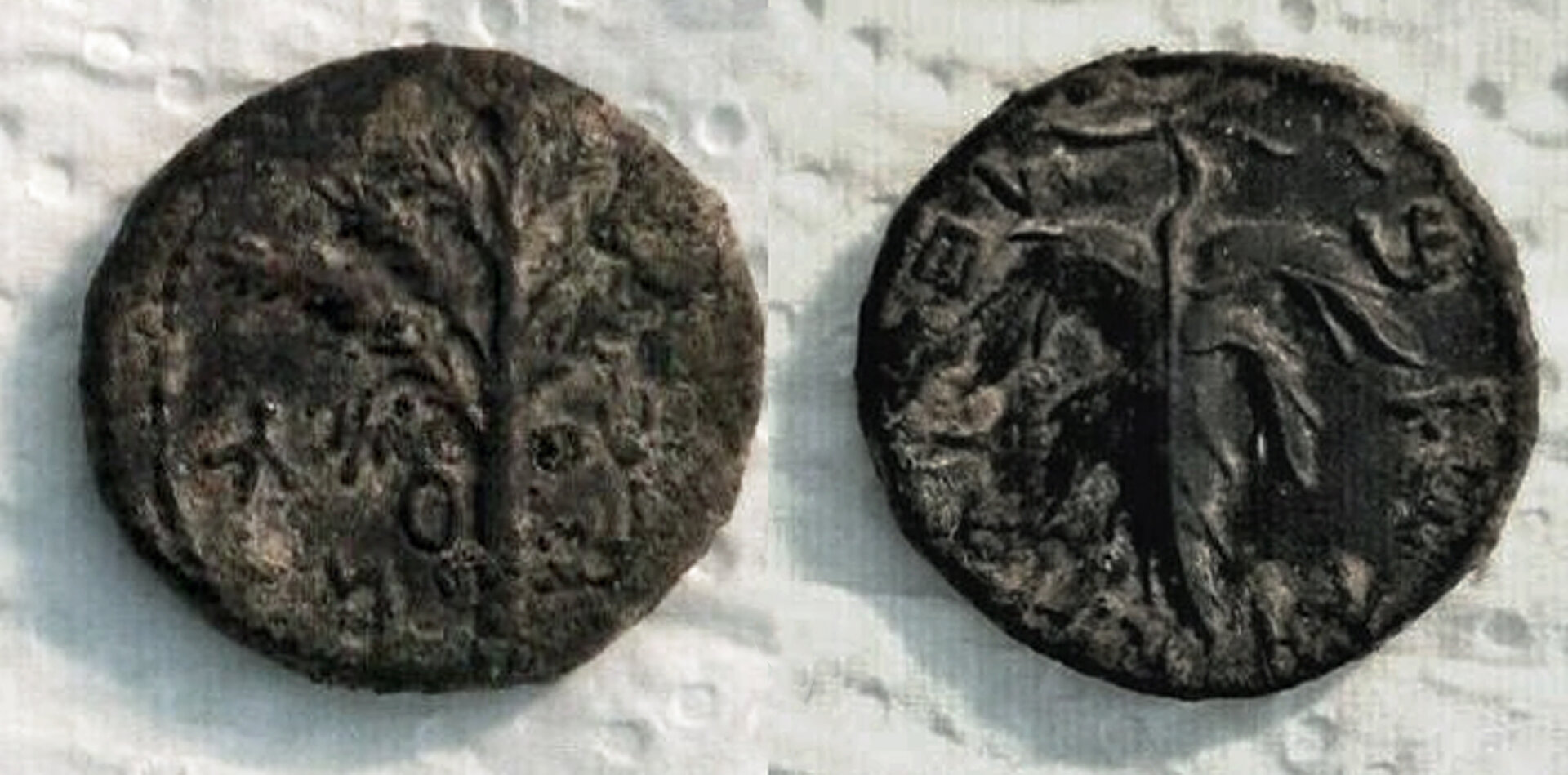 Bar Kochba Revolt, Second Revolt, middle bronze, seller's photo.jpg