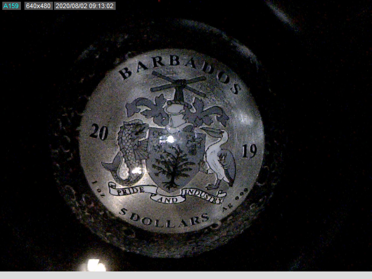 Barbados 5 Dollars Obv.jpg