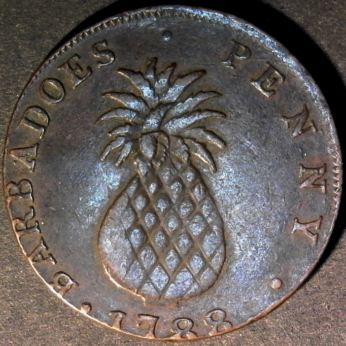 Barbados Penny 1788 reverse less 5 60pct.jpg