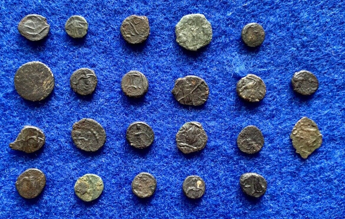 Barbarous radiates minimi 2.jpg