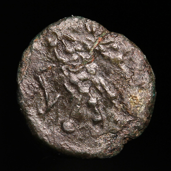 BarbRad339R1.jpg