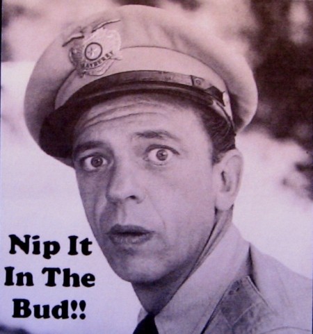BarneyFife_NipIt.jpg