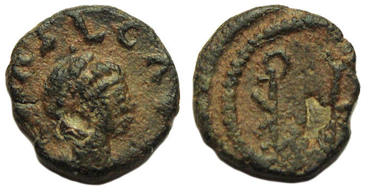 Basiliscus Monogram 2.jpg