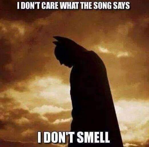 Batman smells.jpg