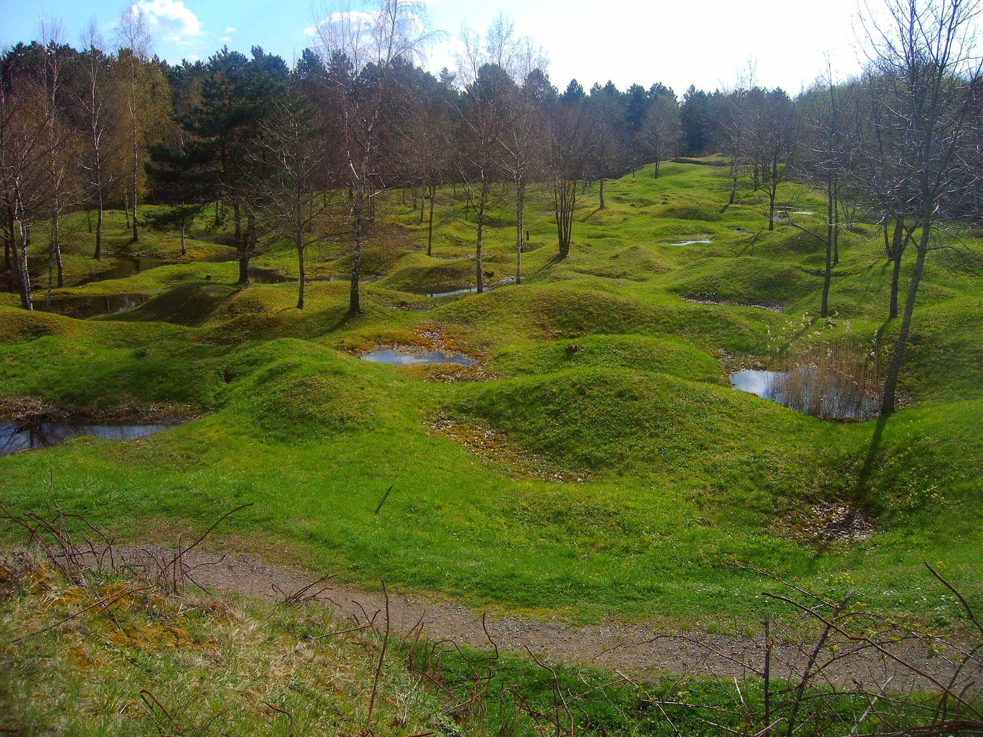 Battelfield_Verdun.jpg