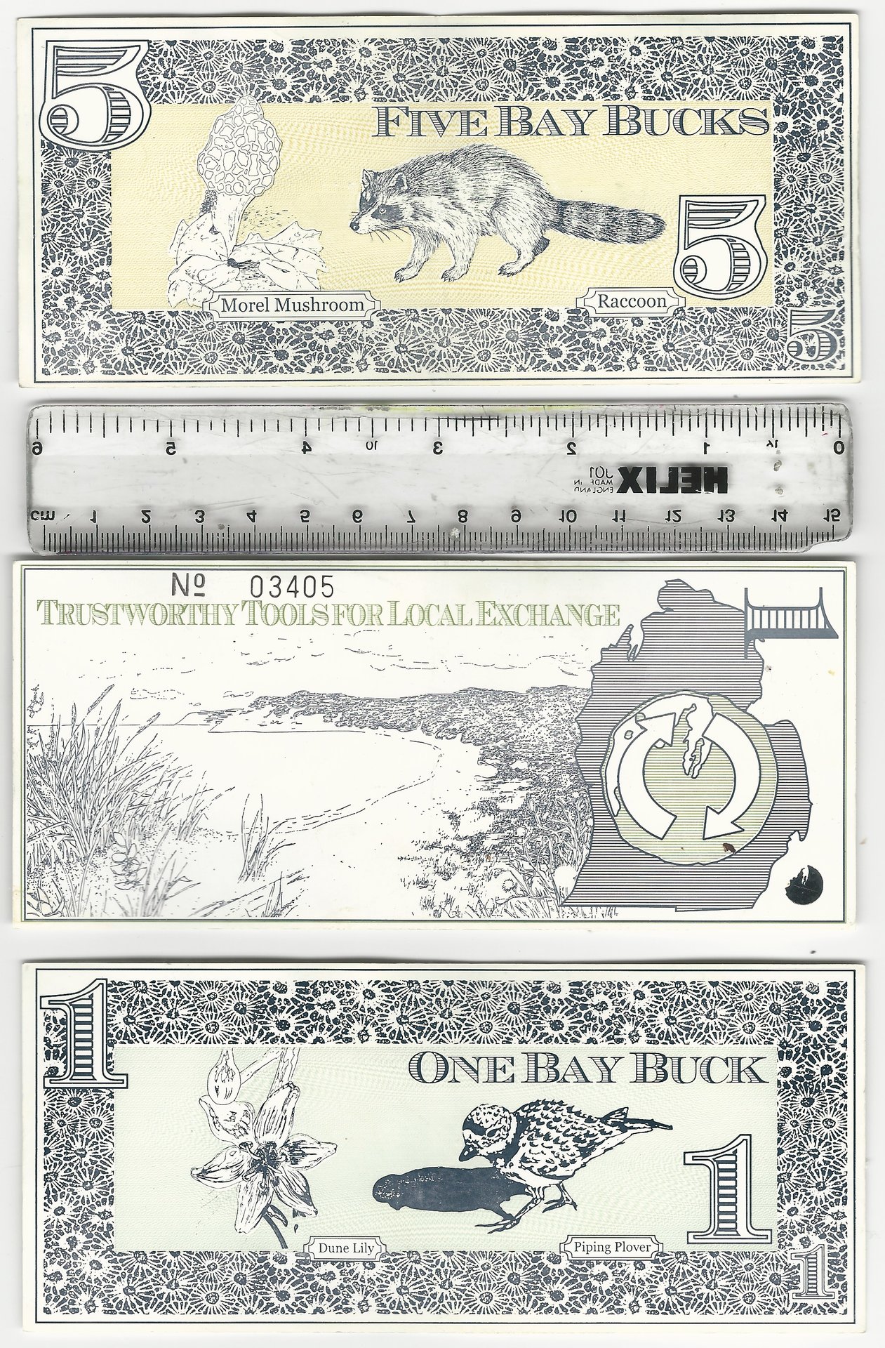 BayBucks BB7.jpeg