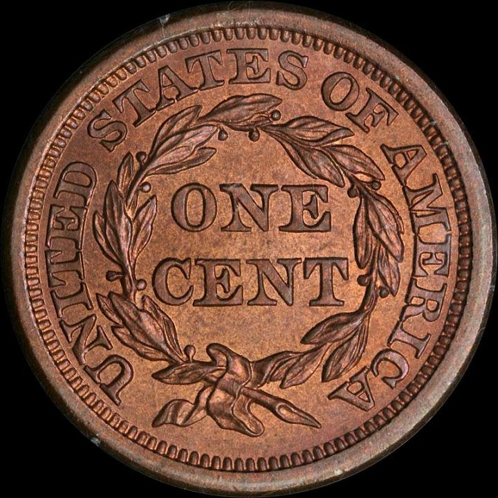 bc1855_65rbLCrevSm.JPG