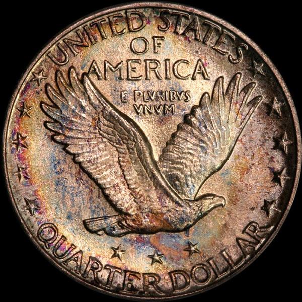 bc1924D_66SLQrev1.JPG