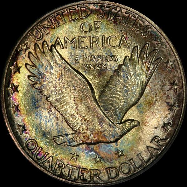 bc1924D_66SLQrev2.JPG
