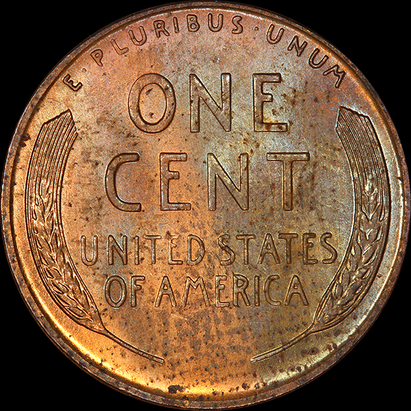 bc1955D_rLI1r3.jpg