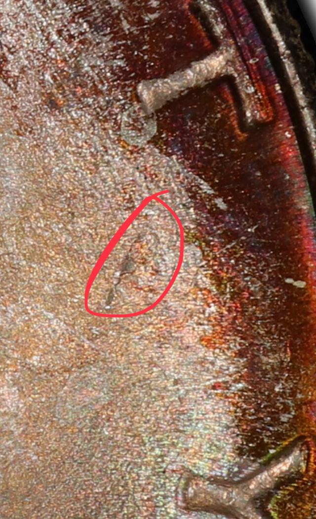 BCC3A594-6A41-4E59-91B0-996DDE701415.jpeg