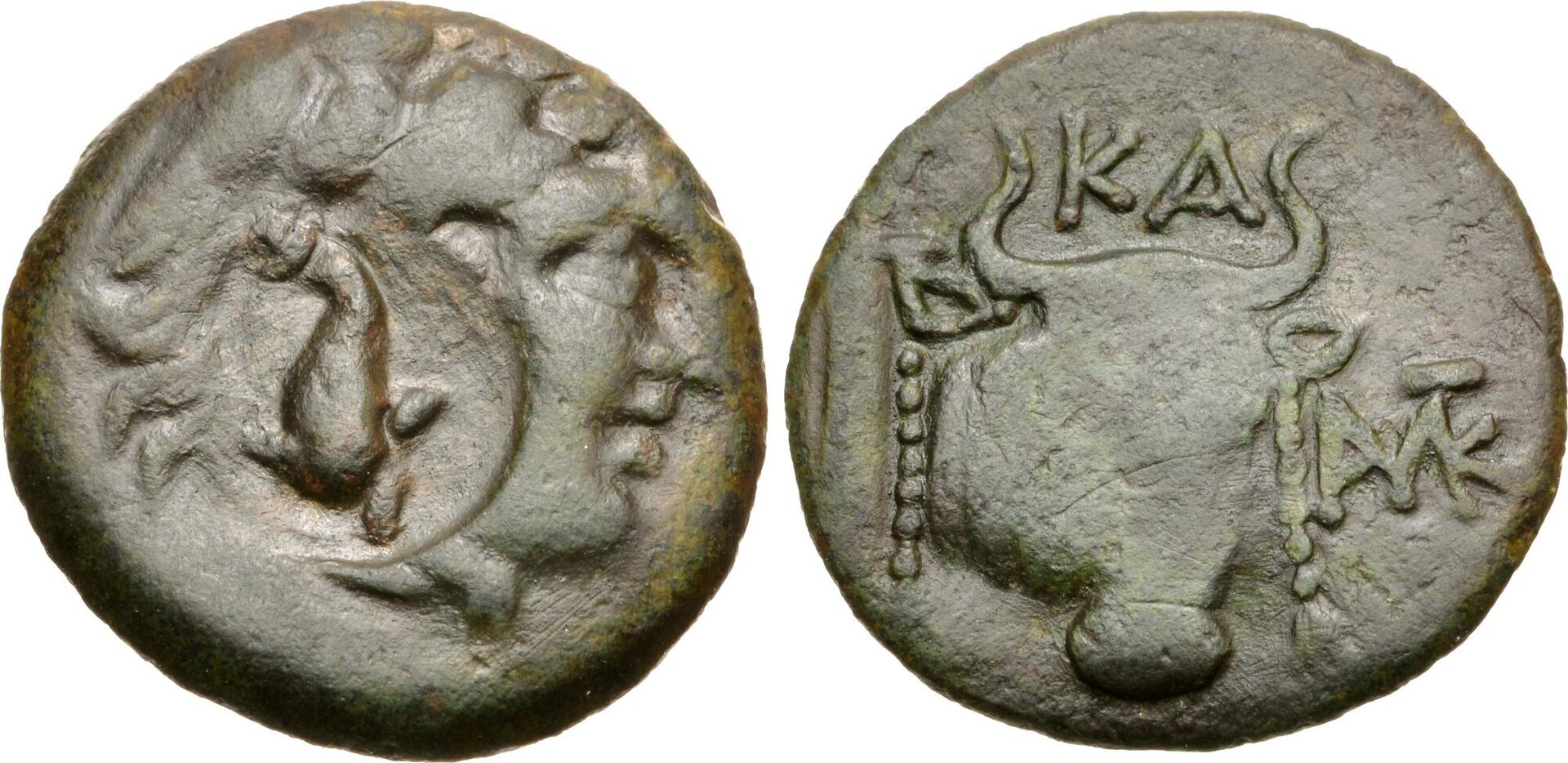 BCD Euboia 587 Karystos AE Herakles Dolphin Countermark Bull (CNG EA 499).jpg