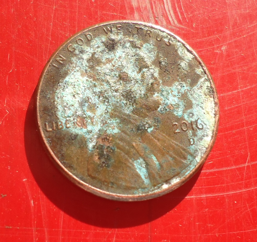 BD Penny (1).JPG