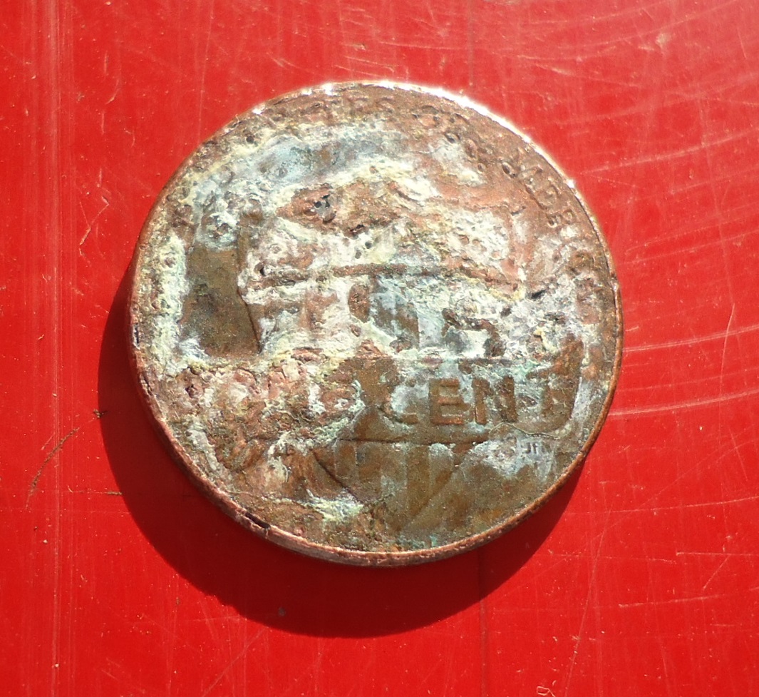 BD Penny (2).JPG