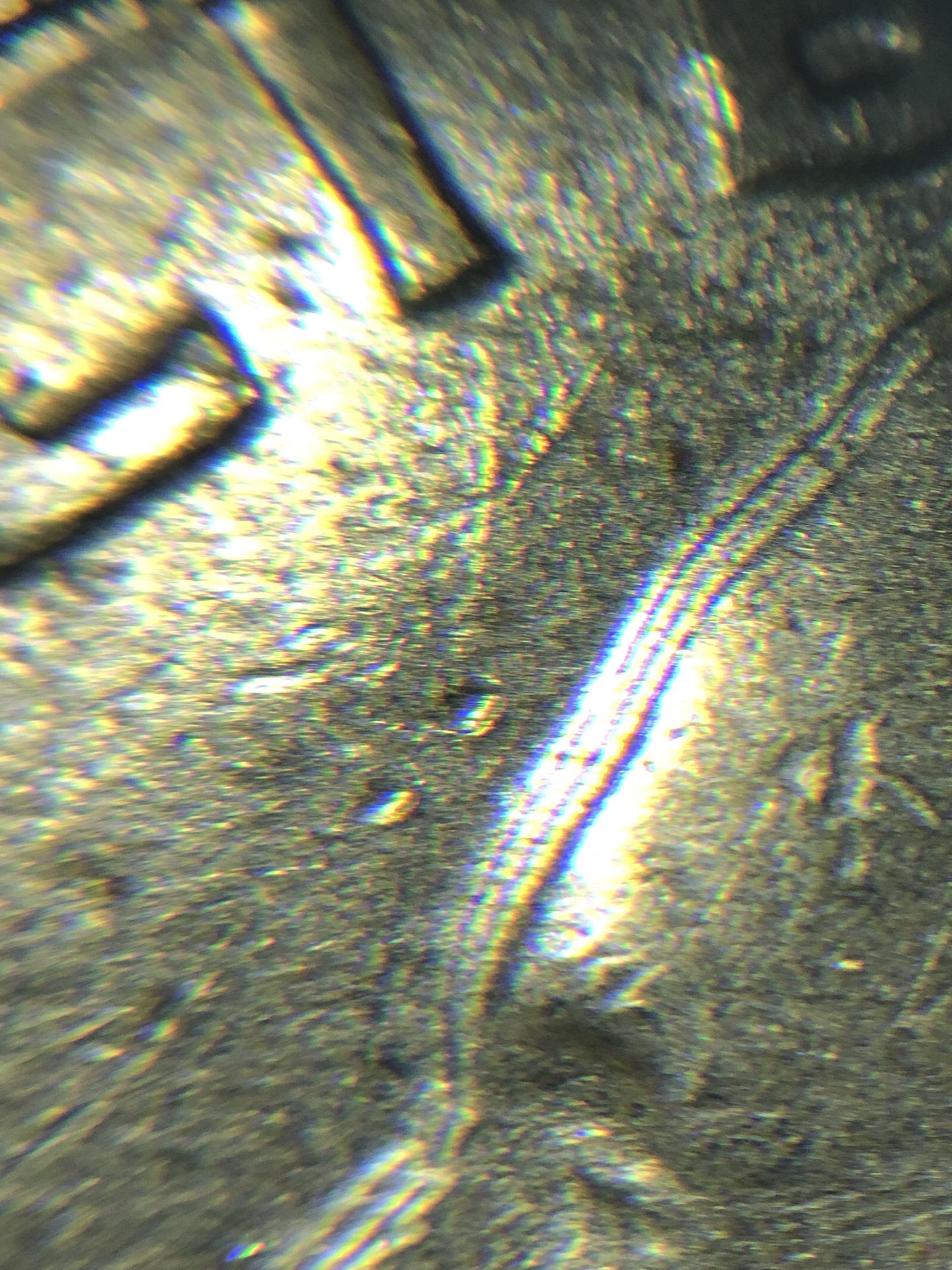 BDC8DD54-8305-46E3-A54B-ADA463A2AC38.jpeg