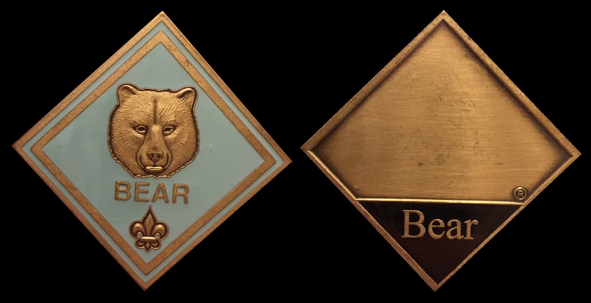 Bear Challenge Coin.jpg