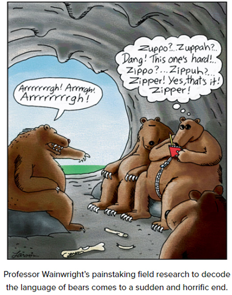 bear suit2.jpg