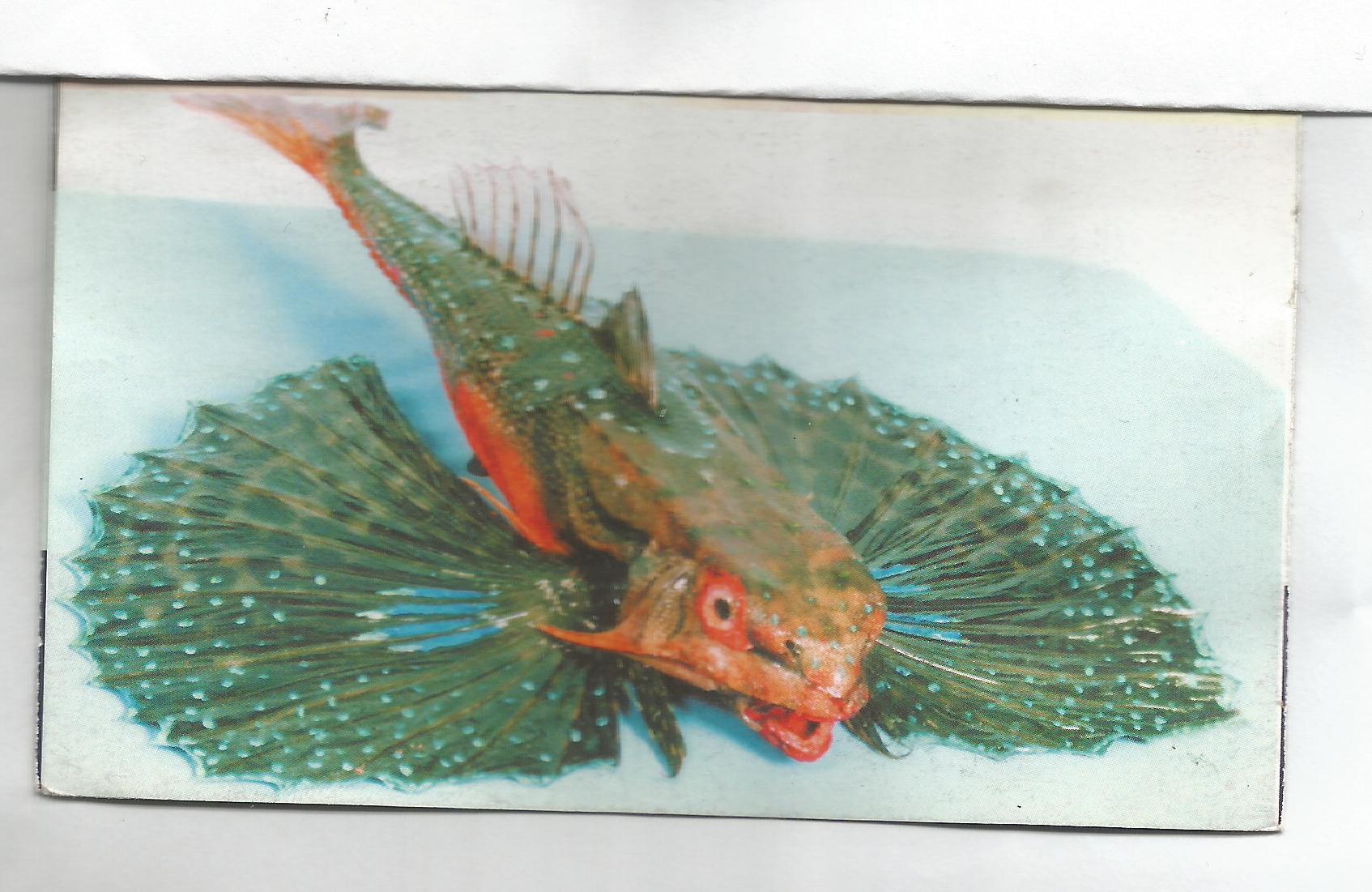 BeastFish.jpg