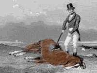 beating-dead-horse-gif-2.gif