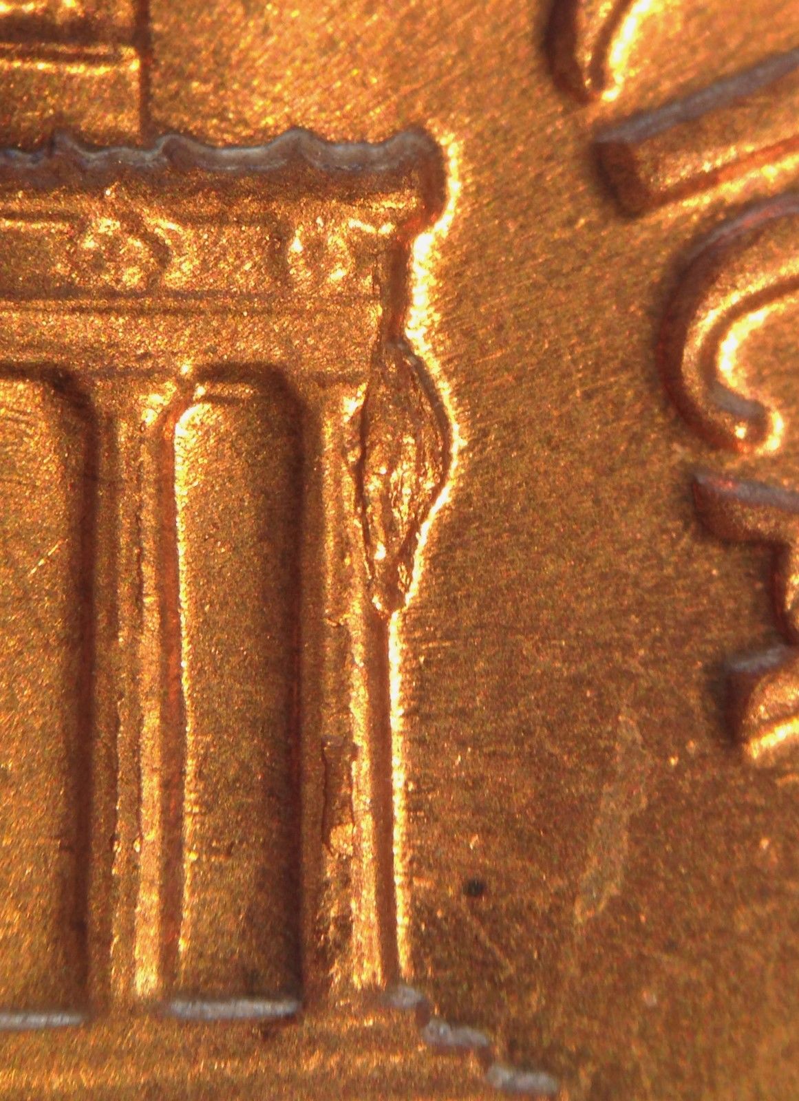 bee 01.jpg