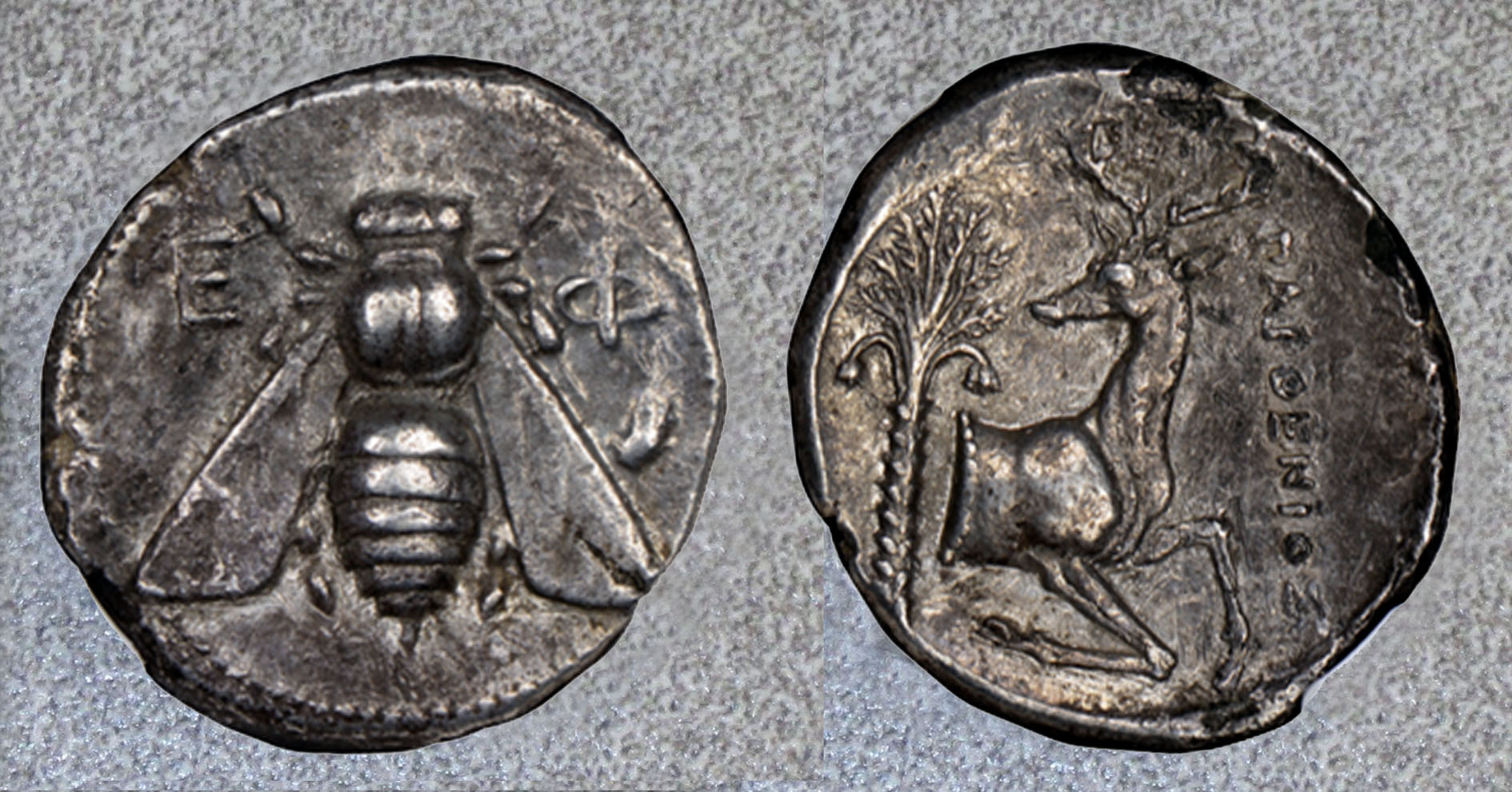 Bee Collage 3.jpg