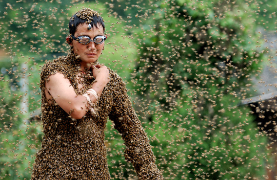 bee gal.jpg