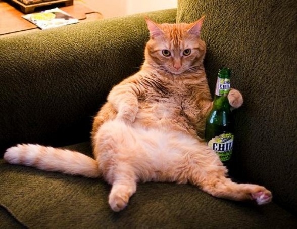 beer animals also.jpg