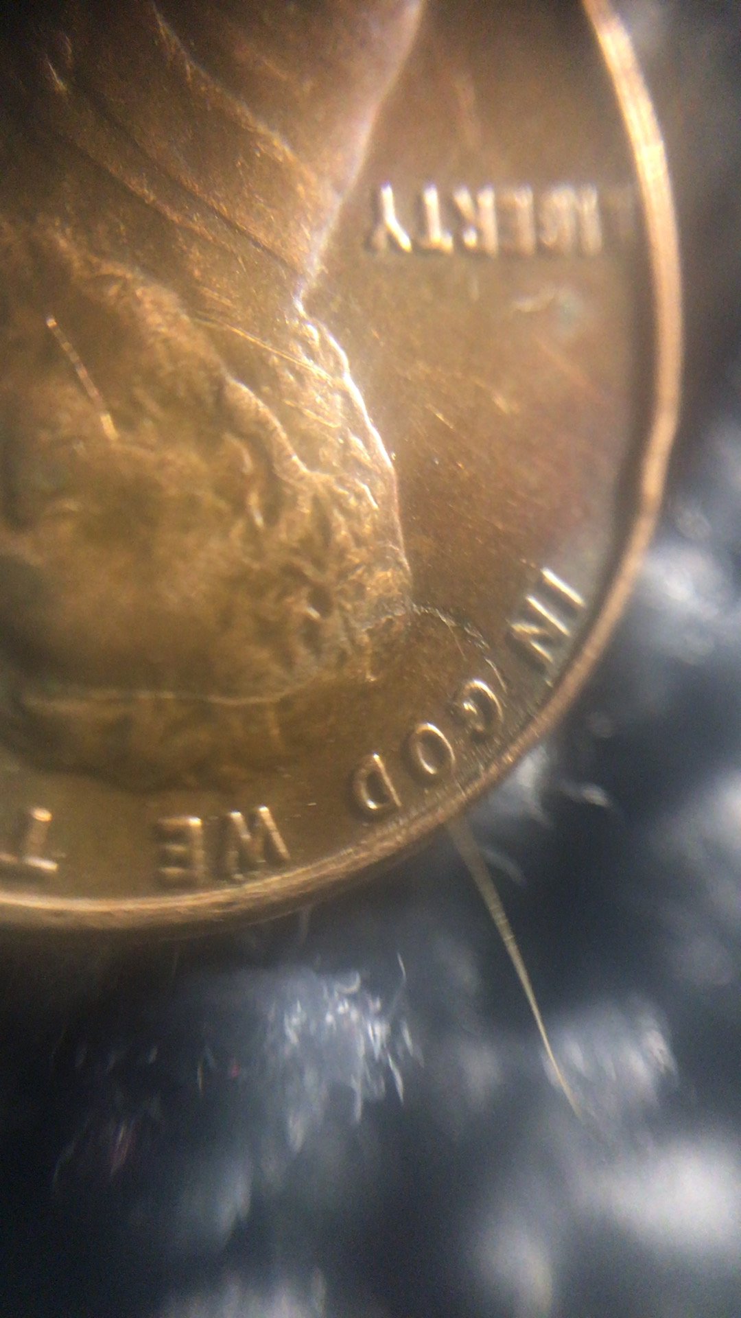BEF724ED-C767-41F3-99F5-6658AF9E6FC7.jpeg