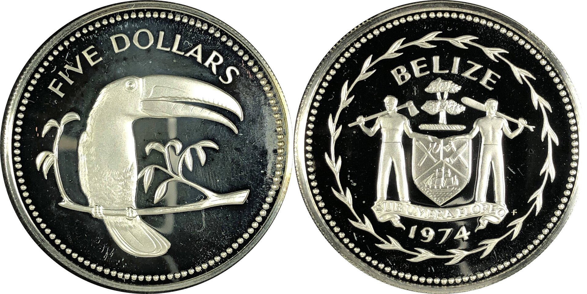 Bel197413.jpg