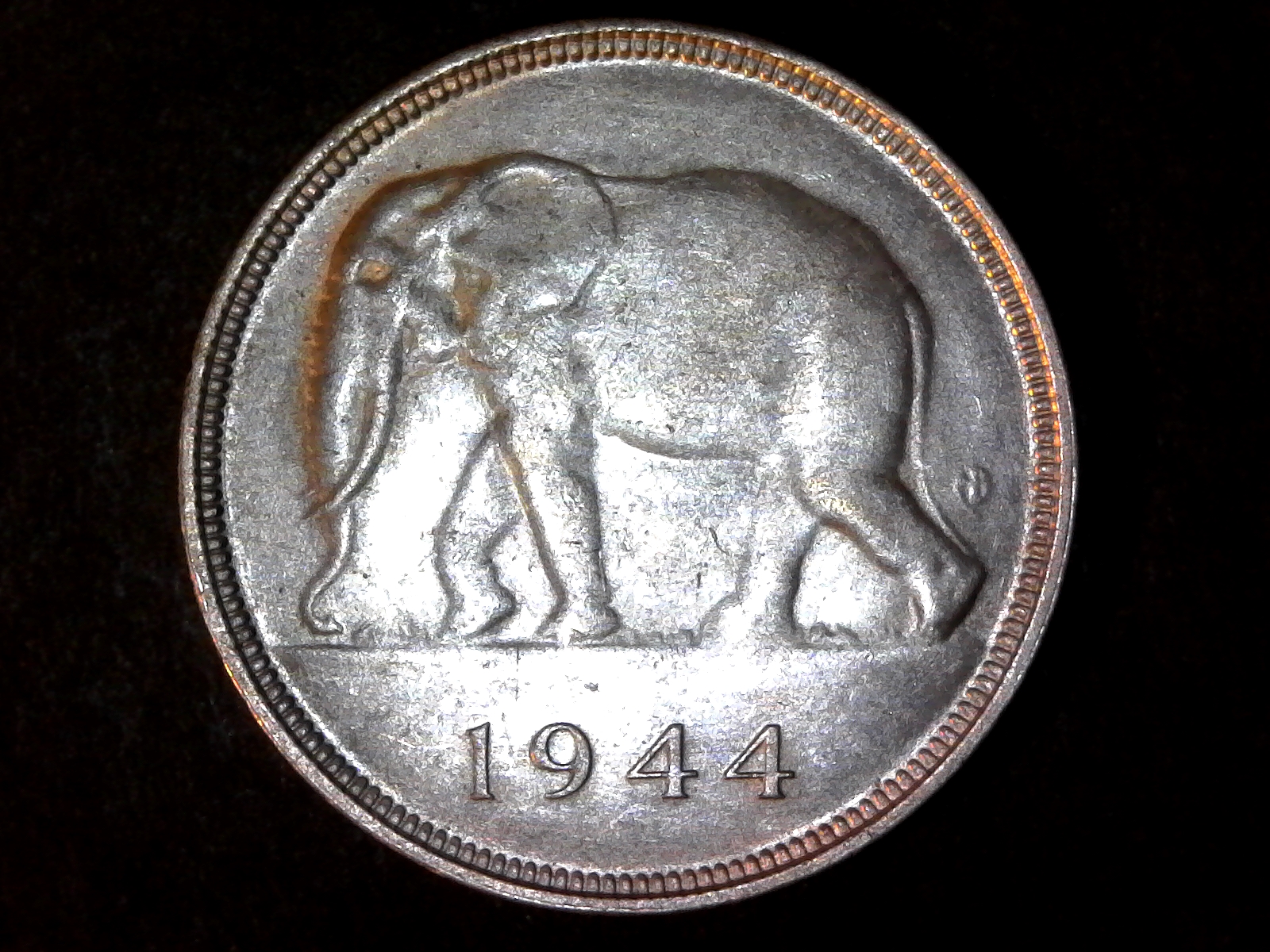 Belgian Congo 1944 50 Francs rev.jpg