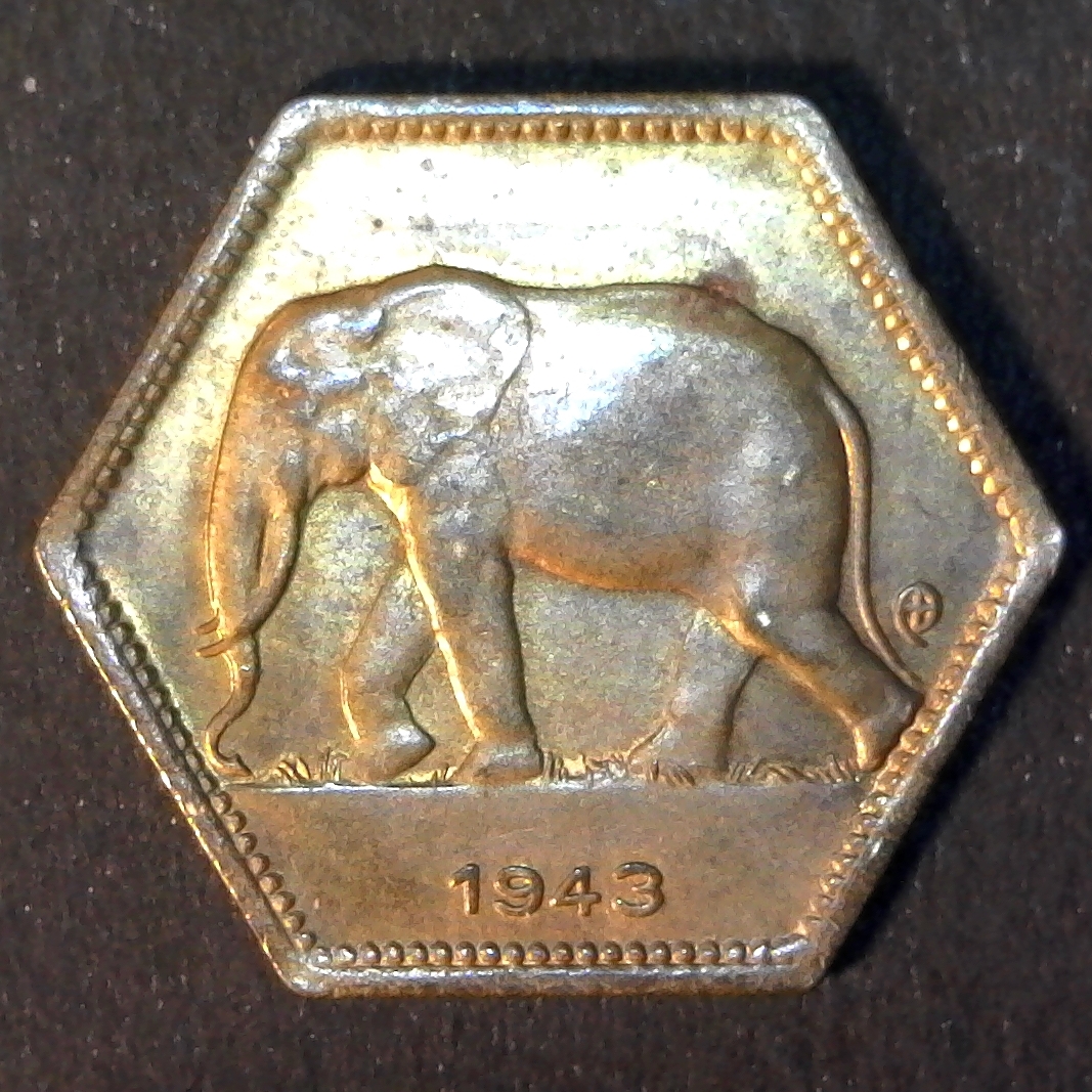 Belgian Congo Elephant 1.jpg