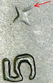BELGIUM1FRANC1965DBLDDIEOBV5.jpg