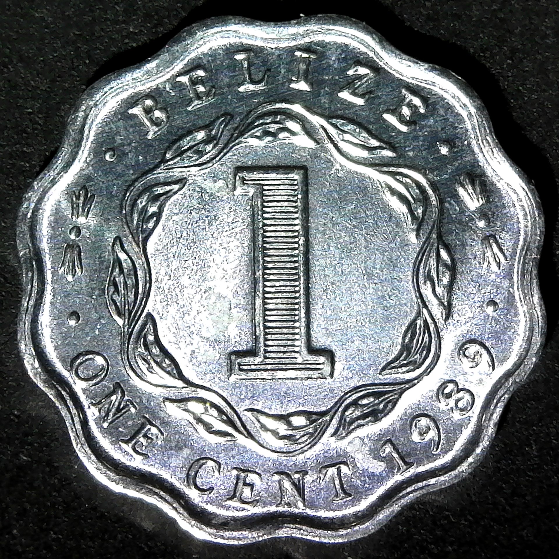 Belize 1 cent 1989 rev.jpg