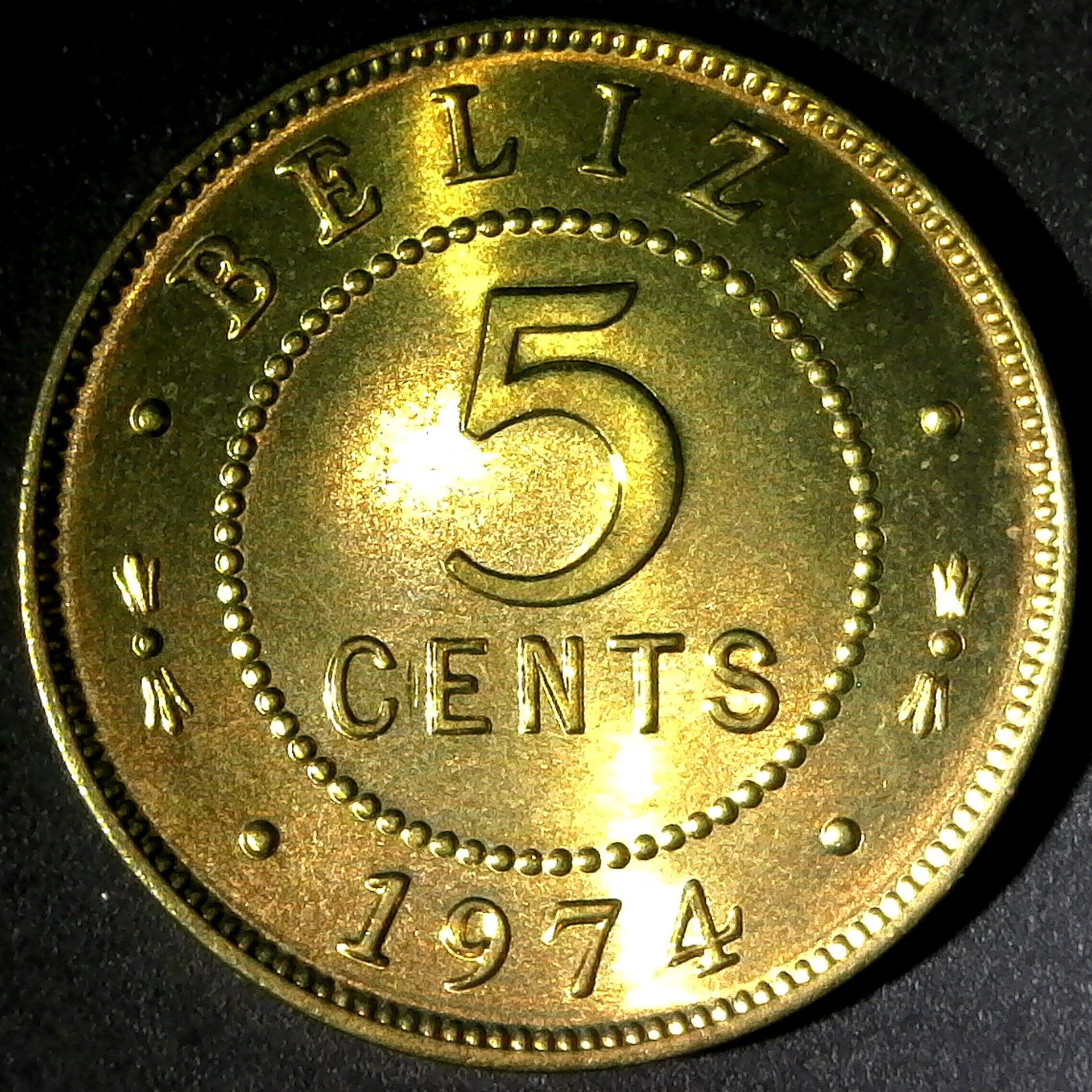 Belize 5 cents 1974 rev.jpg