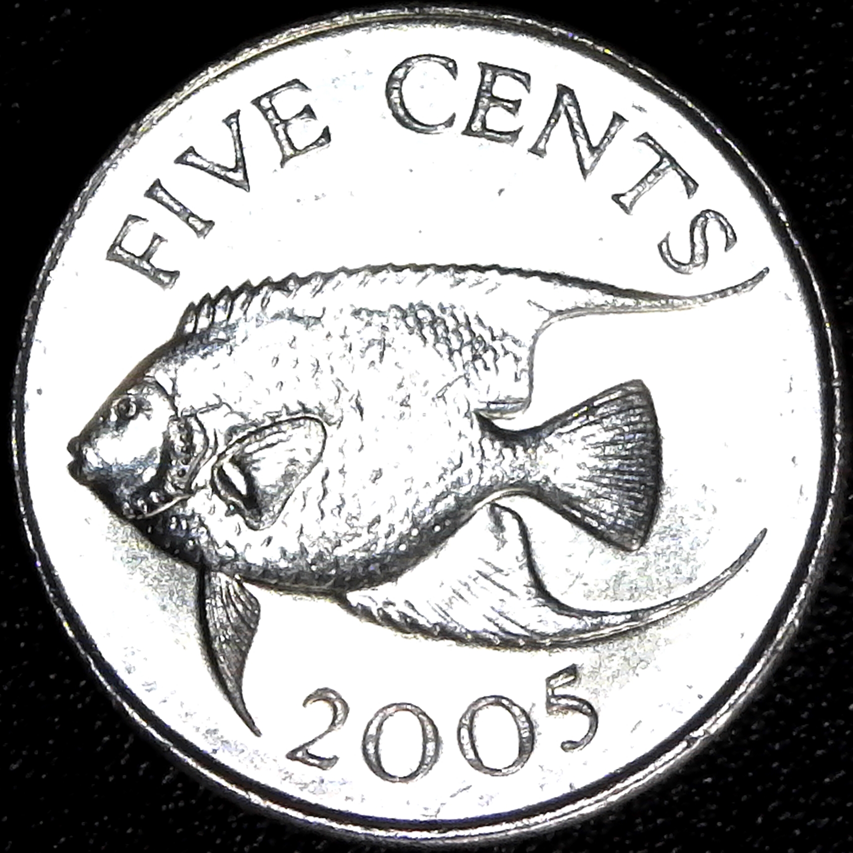 Bermuda 5 cents 2005 rev.jpg