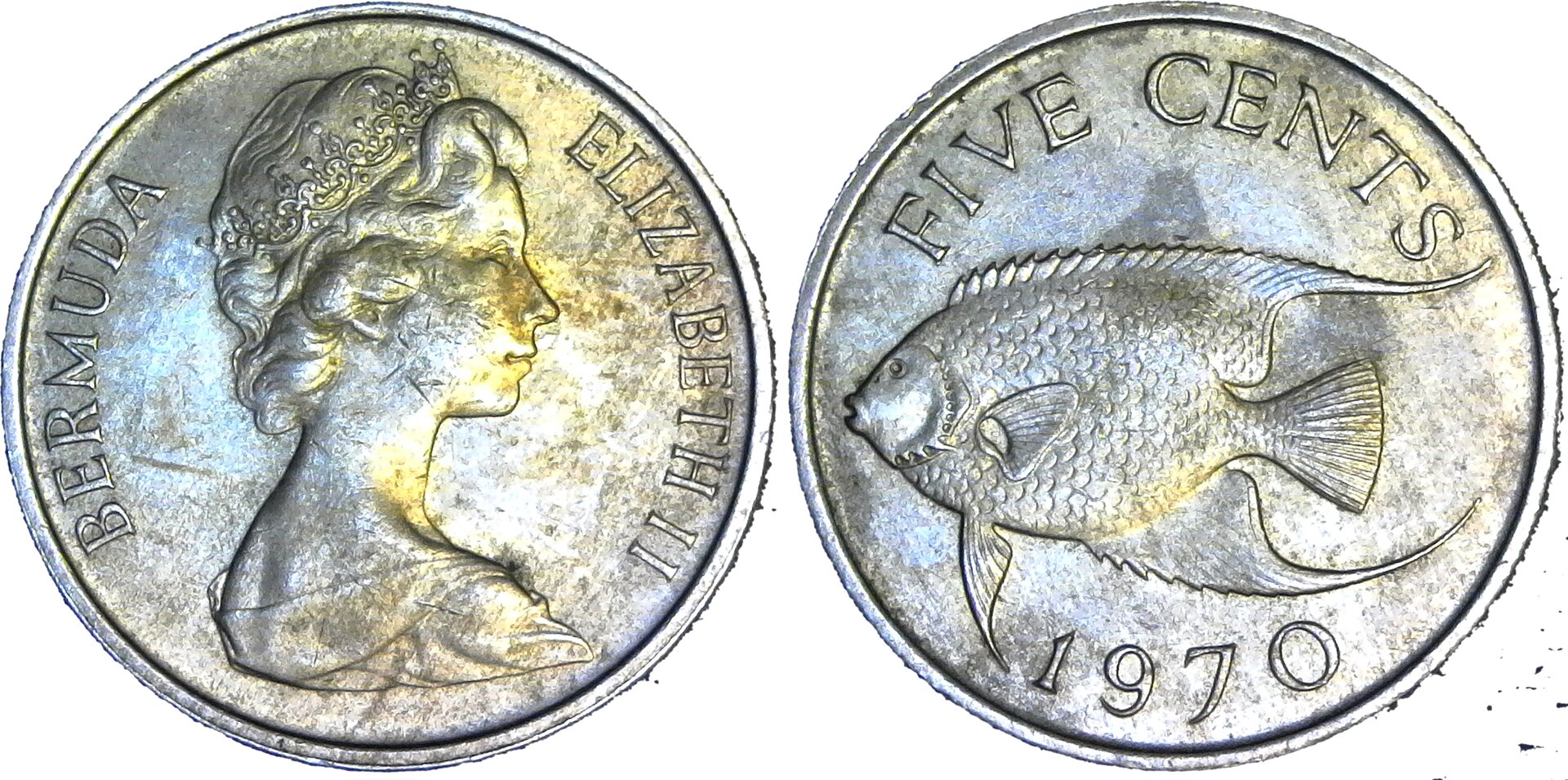 Bermuda Five Cents 1970 obv-side-cutout.jpg