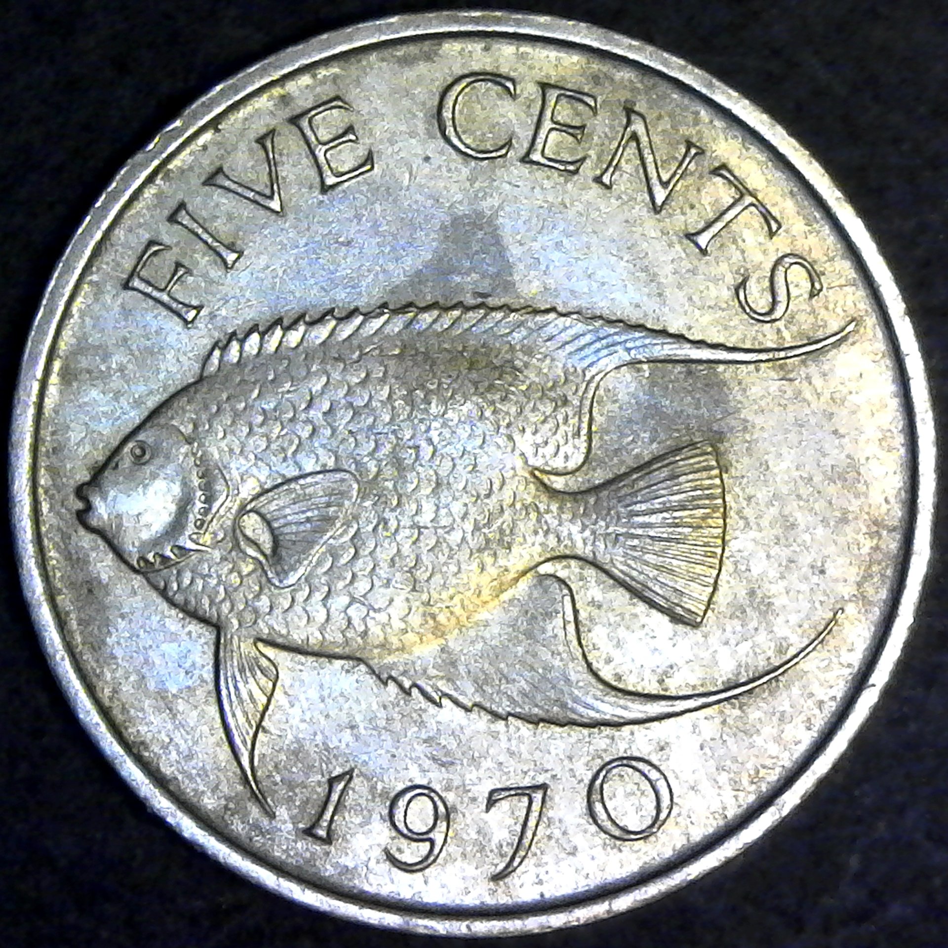 Bermuda Five Cents 1970 rev.jpg