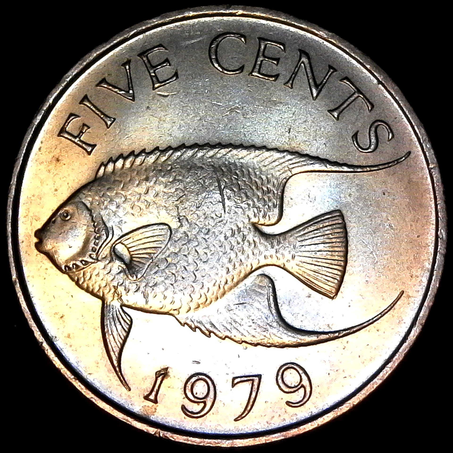 Bermuda Five Cents 1979 rev.jpg