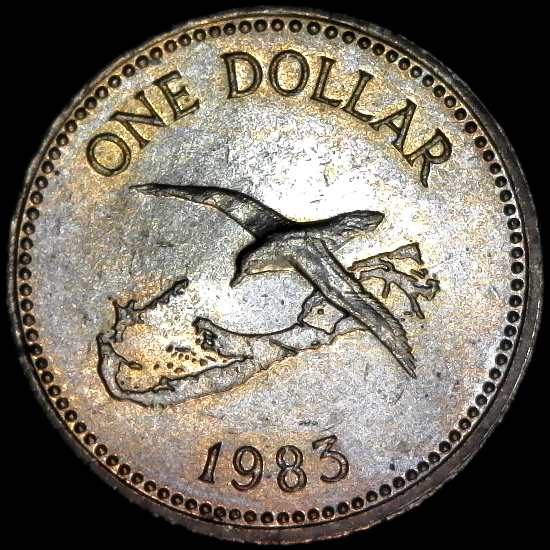 Bermuda One Dollar 1983 rev B.jpg