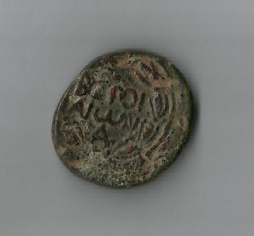 Beroe R.jpg