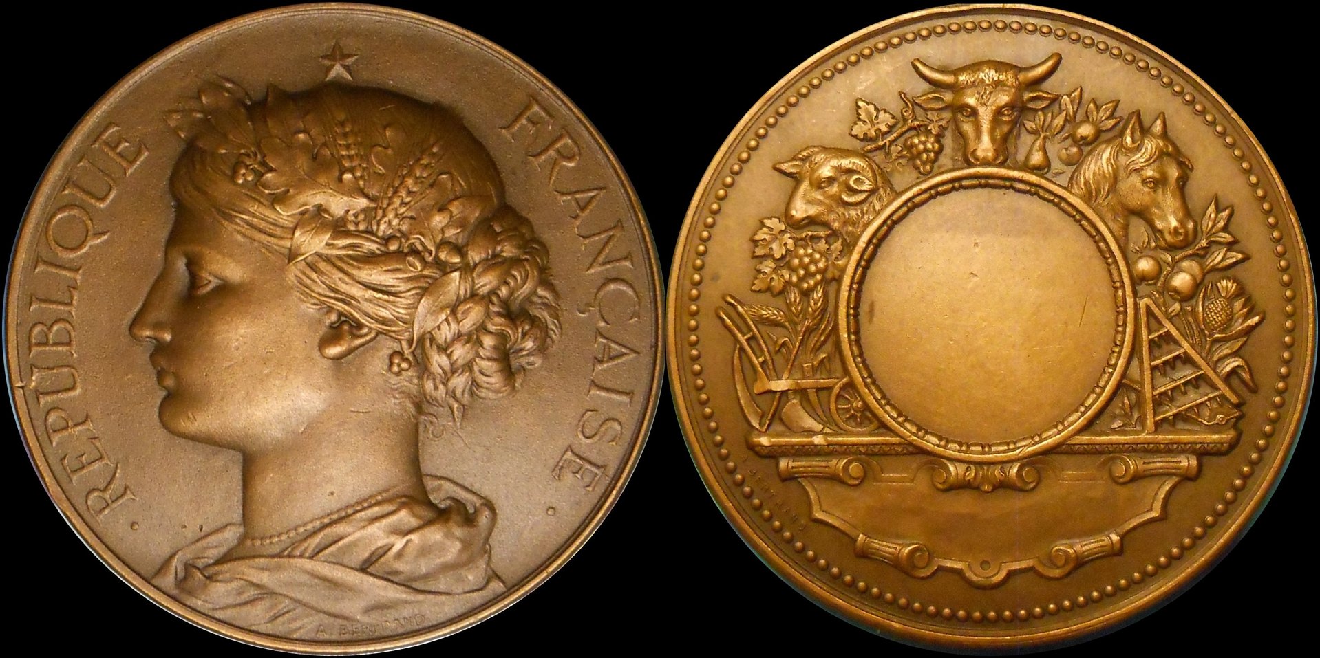 bertrandagmedal-horz.jpg