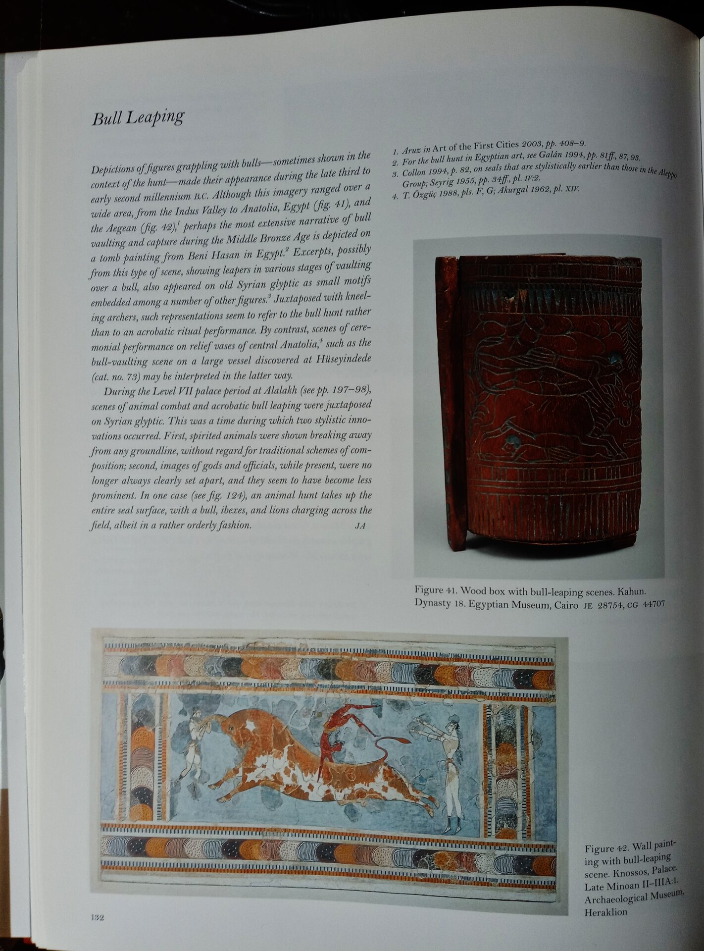 Beyond Babylon page on bull jumping.jpeg