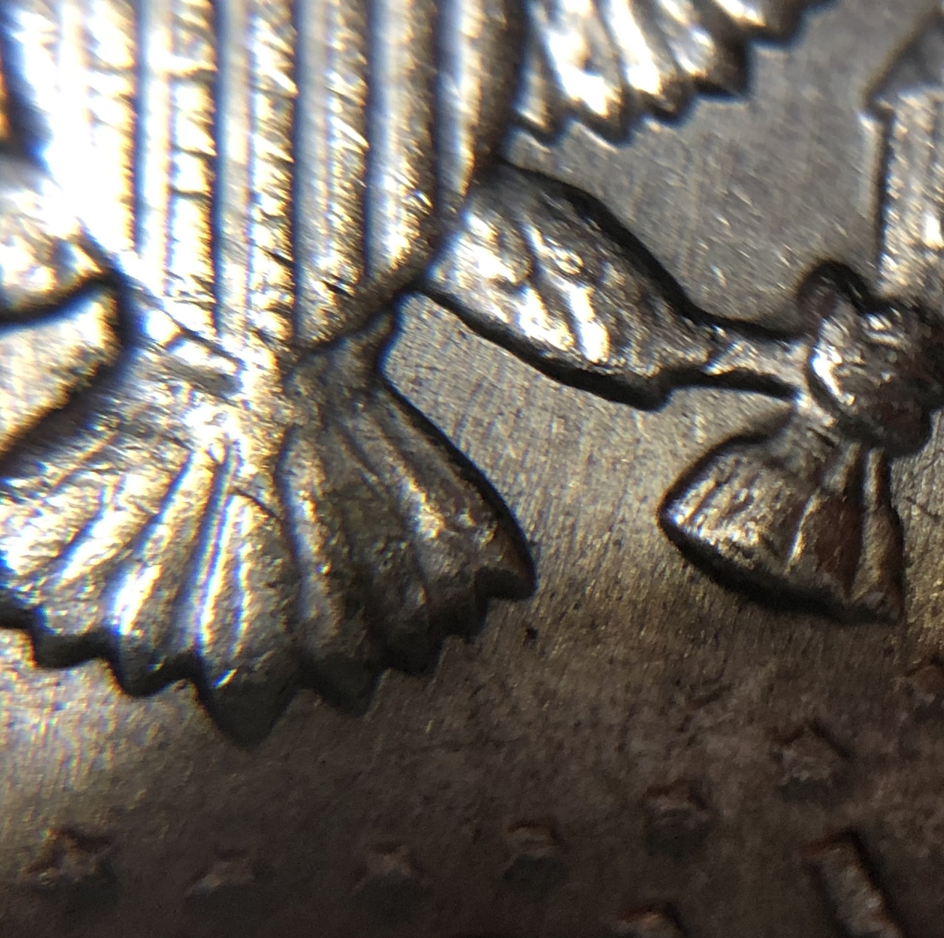 BF4D506F-1580-4071-A5F1-E323FE873D41.jpeg