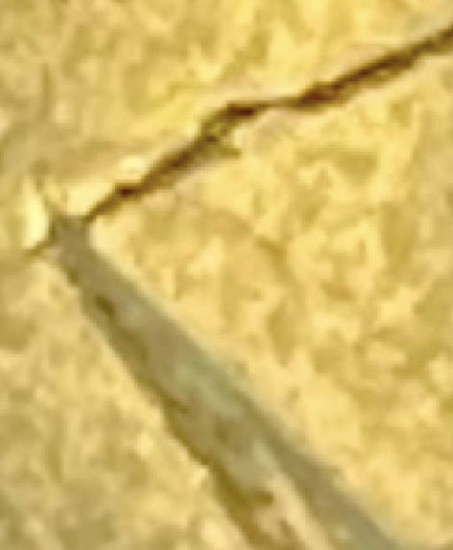 BF9FA82A-BA7D-4625-979C-035B676FD32A.jpeg