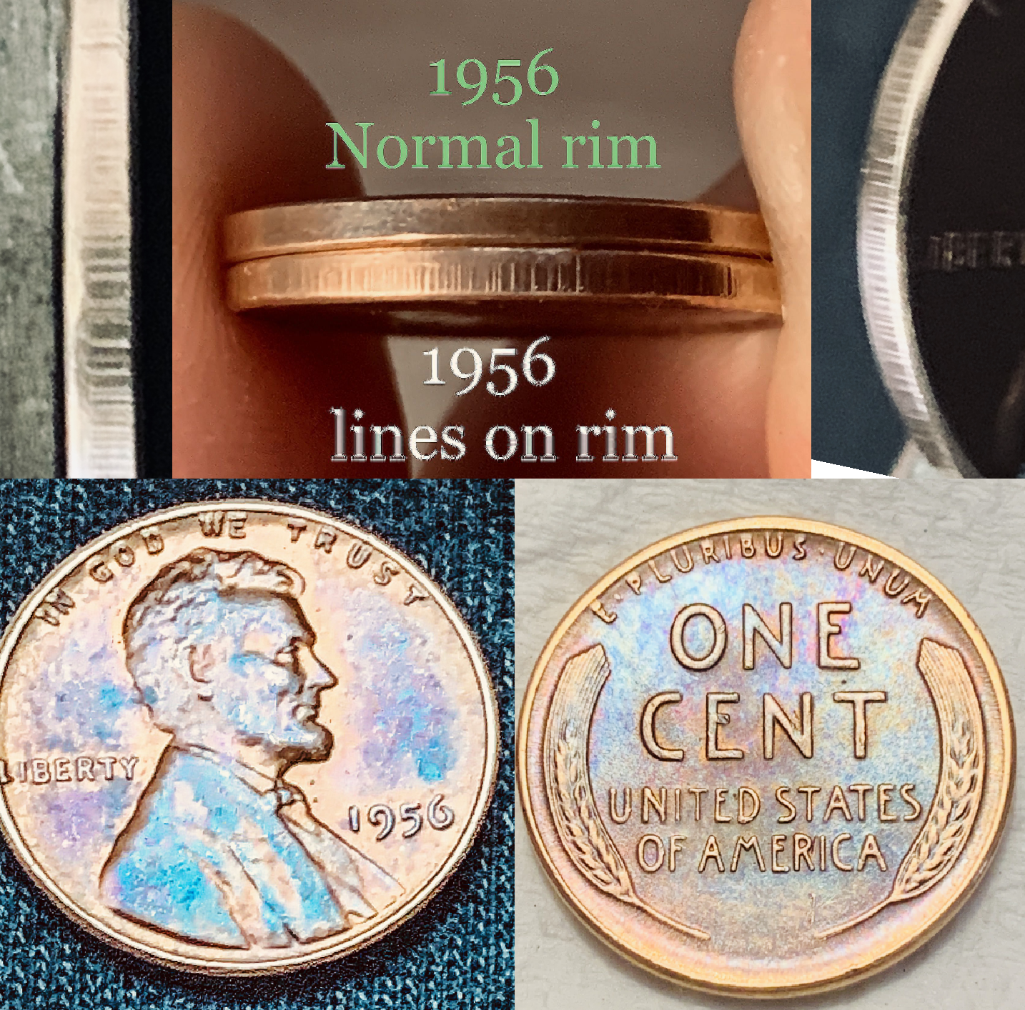 BFB07600-BB0F-4180-B825-247E5553188F.png