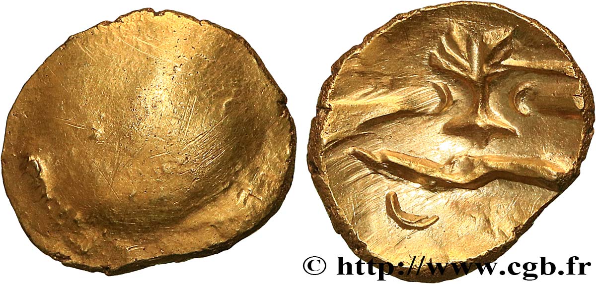 bga_645781.jpg