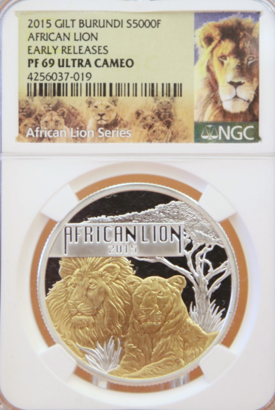 Bi_2015_African Lion_Gilded_Pf.JPG