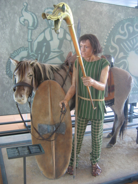 Bibracte_Dumnorix.jpg