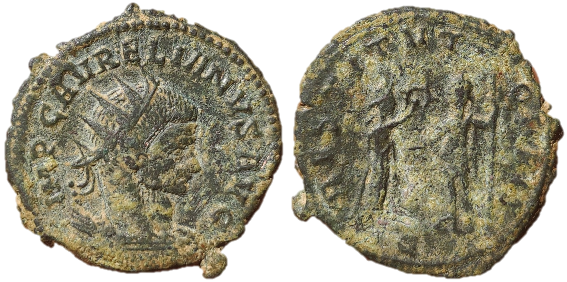 big brain aurelian.png