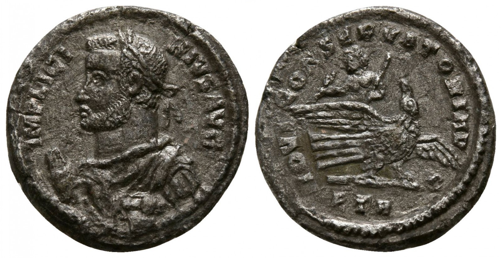 billon argenteus.jpg